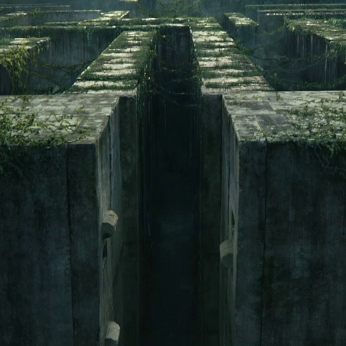 film maze runner il labirinto netflix trama cast recensione storia vera location trailer fantascienza 