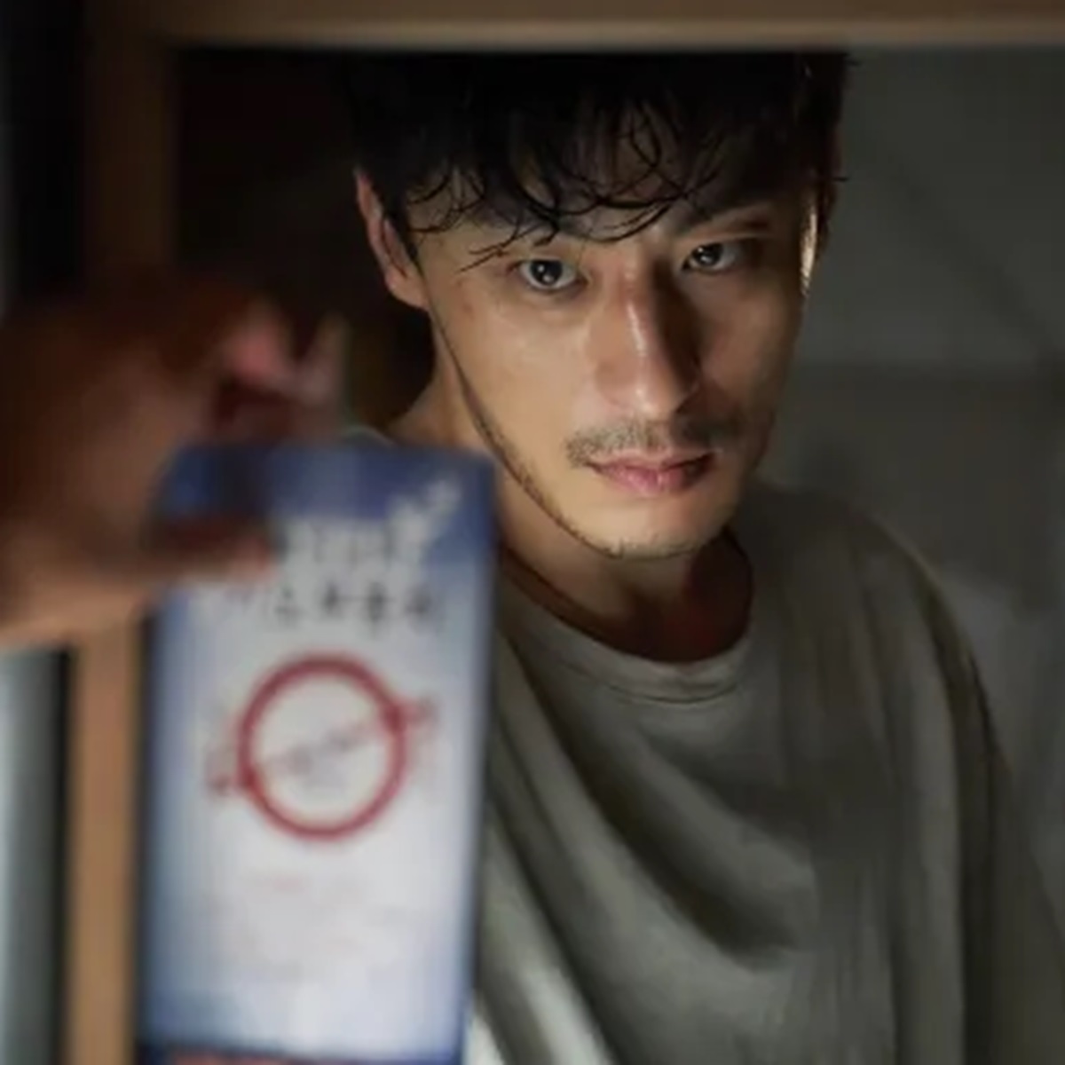serie tv coreana parasyte the grey 2024 netflix fantascienza thriller trama cast location storia vera recensione trailer 