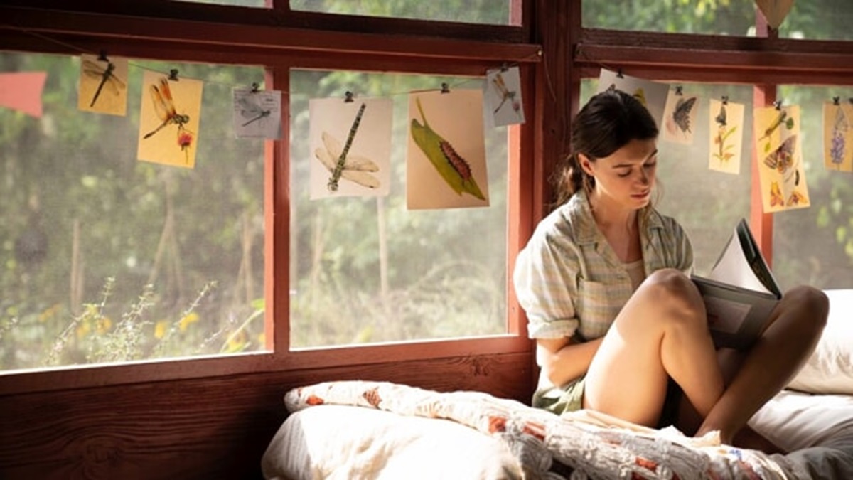 la ragazza della palude film record It Ends With Us