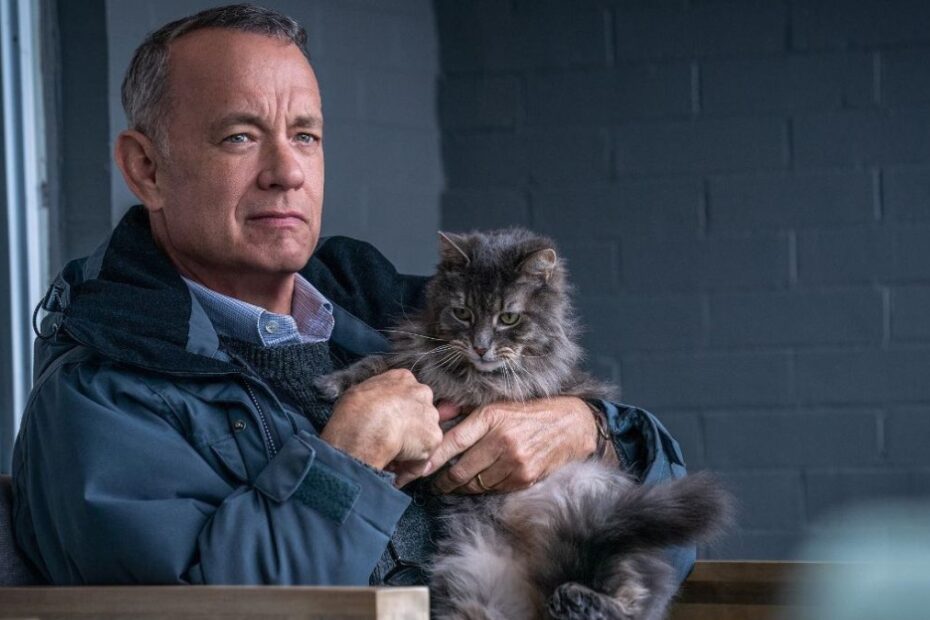 "Non così vicino", su Netflix l'ultimo film di Tom Hanks