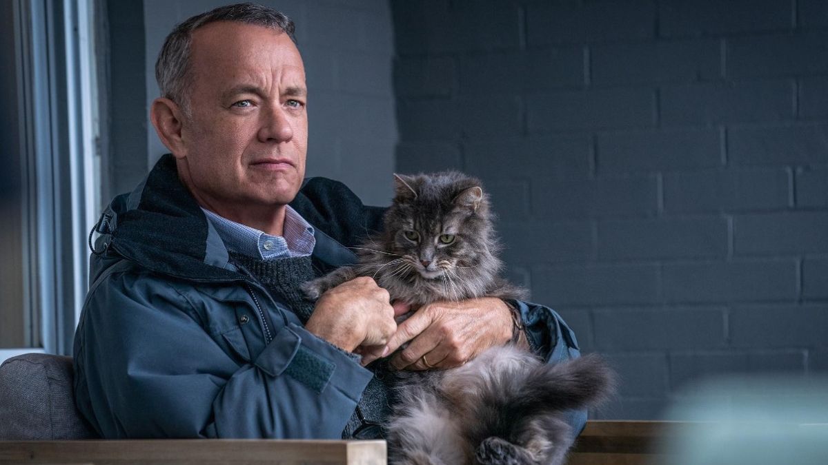 "Non così vicino", su Netflix l'ultimo film di Tom Hanks