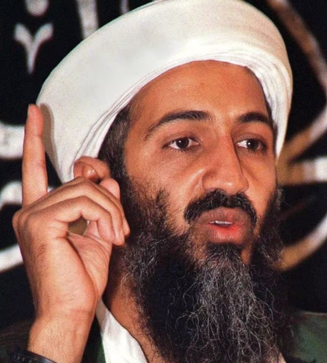 American Manhunt: Osama bin Laden