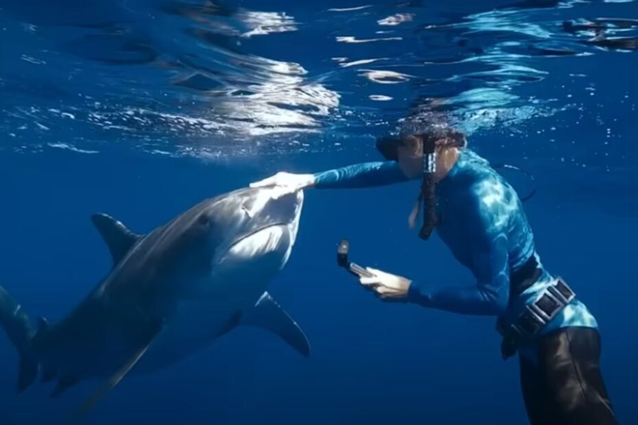 "Shark Whisperer: Nuotando con gli squali", lo sconvolgente documentario nella Top 10 di Netflix ci parla di una donna senza paura