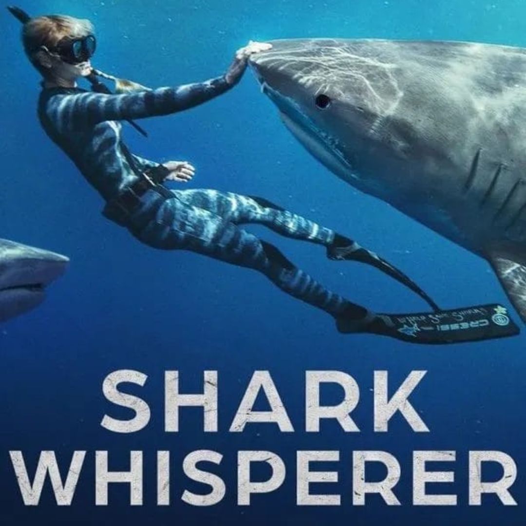 "Shark Whisperer: Nuotando con gli squali", lo sconvolgente documentario nella Top 10 di Netflix ci parla di una donna senza paura