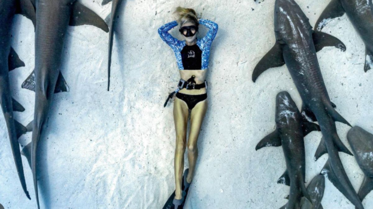 "Shark Whisperer: Nuotando con gli squali", lo sconvolgente documentario nella Top 10 di Netflix ci parla di una donna senza paura