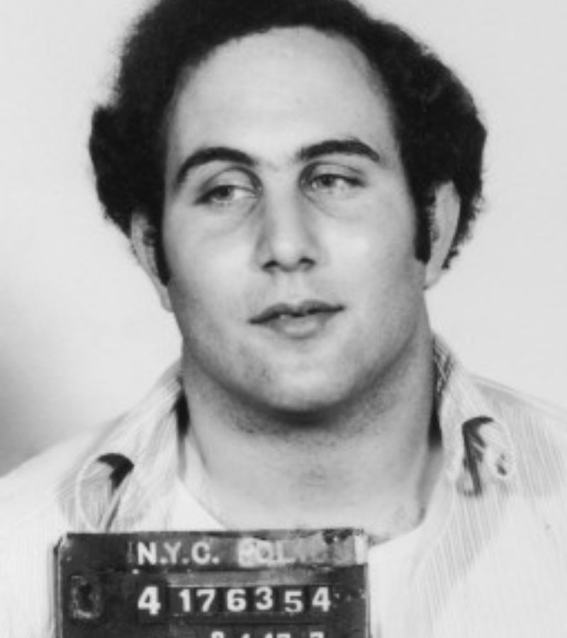 Il true crime sul Caso Berkowitz arriva su Netflix, con la storia del serial killer noto come "The Son of Sam".