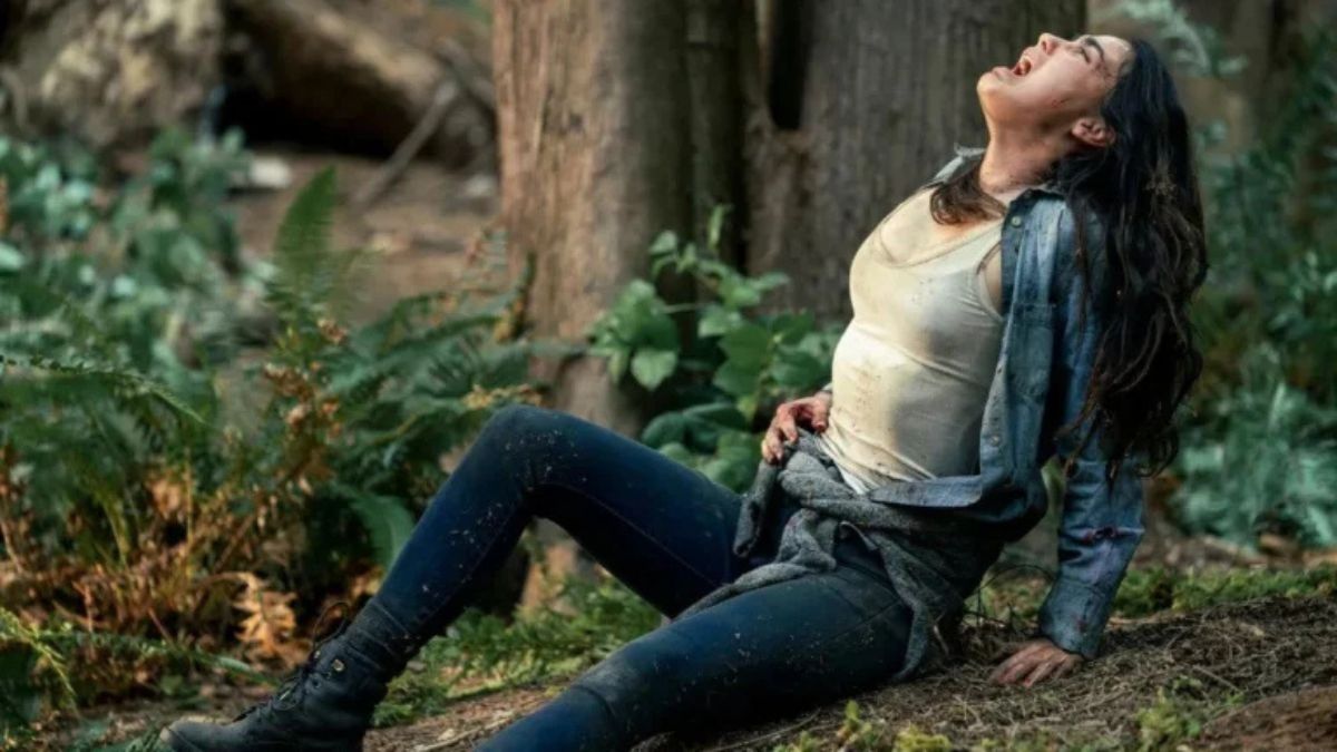 Storie di sopravvivenza su Netflix: film e serie Tv "survival" da non perdere se hai amato titoli come "Nowhere" e "La Palma".