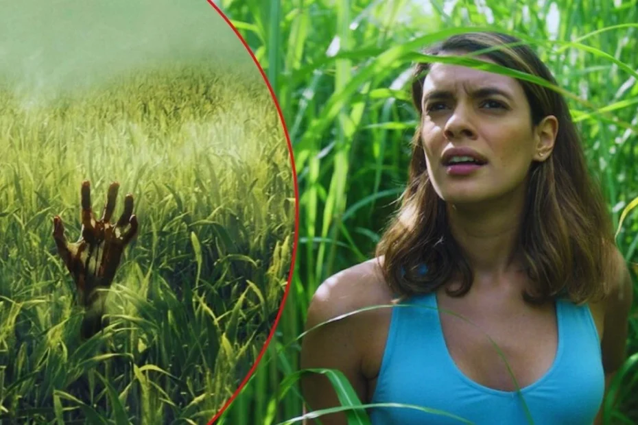 Nell'erba alta: il film horror su Netflix è tratto da un racconto di Stephen King, il maestro del brivido.