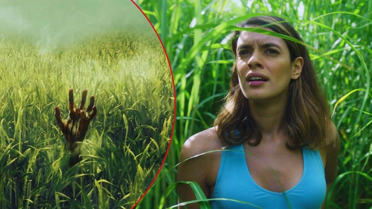 Nell'erba alta: il film horror su Netflix è tratto da un racconto di Stephen King, il maestro del brivido.