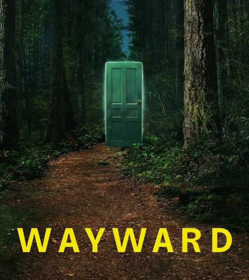 Wayward – Ribelli, la serie psicologica canadese è in arrivo su Netflix. Cresce l'attesa e già la paragonano al cult Twin Peaks.