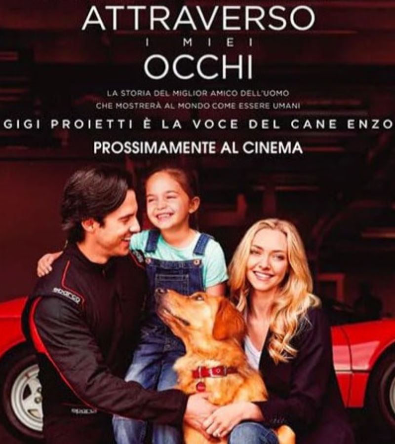 Attraverso i miei occhi: un film dolcissimo nella Top 10 di Netflix. Il cane protagonista del film è doppiato dal compianto Gigi Proietti.