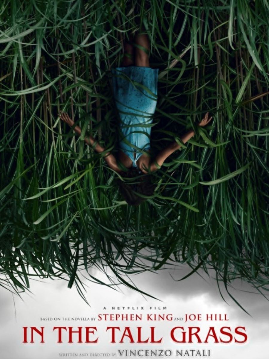 Nell'erba alta: il film horror su Netflix è tratto da un racconto di Stephen King, il maestro del brivido.