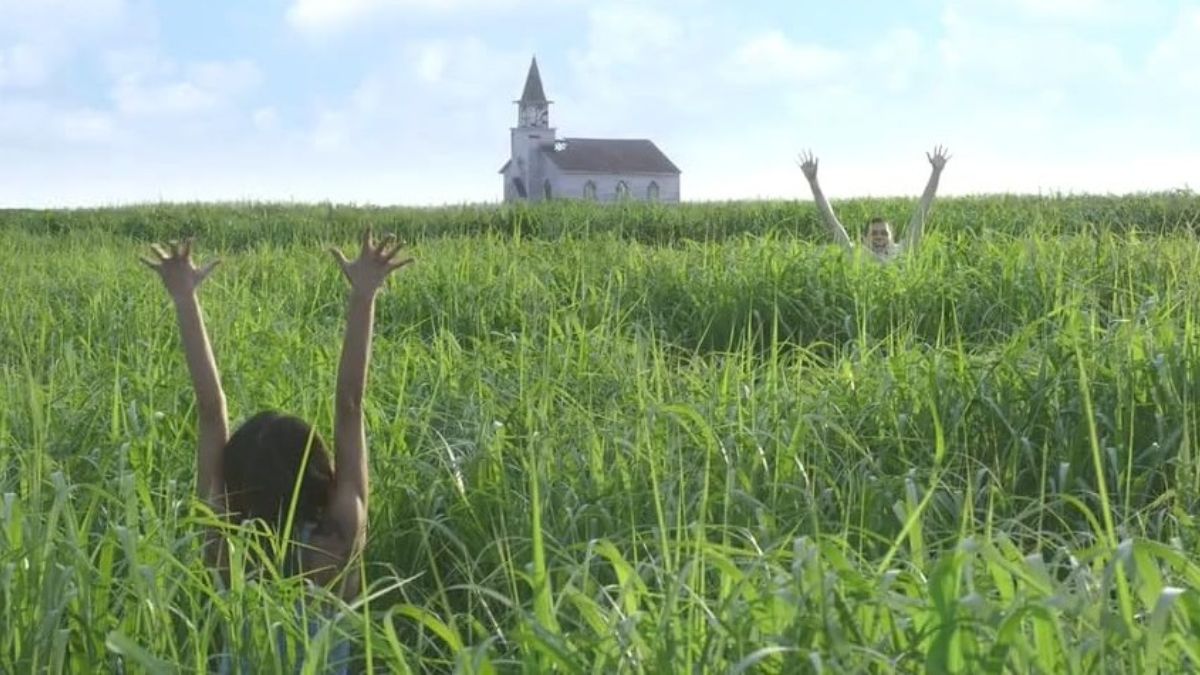 Nell'erba alta: il film horror su Netflix è tratto da un racconto di Stephen King, il maestro del brivido.