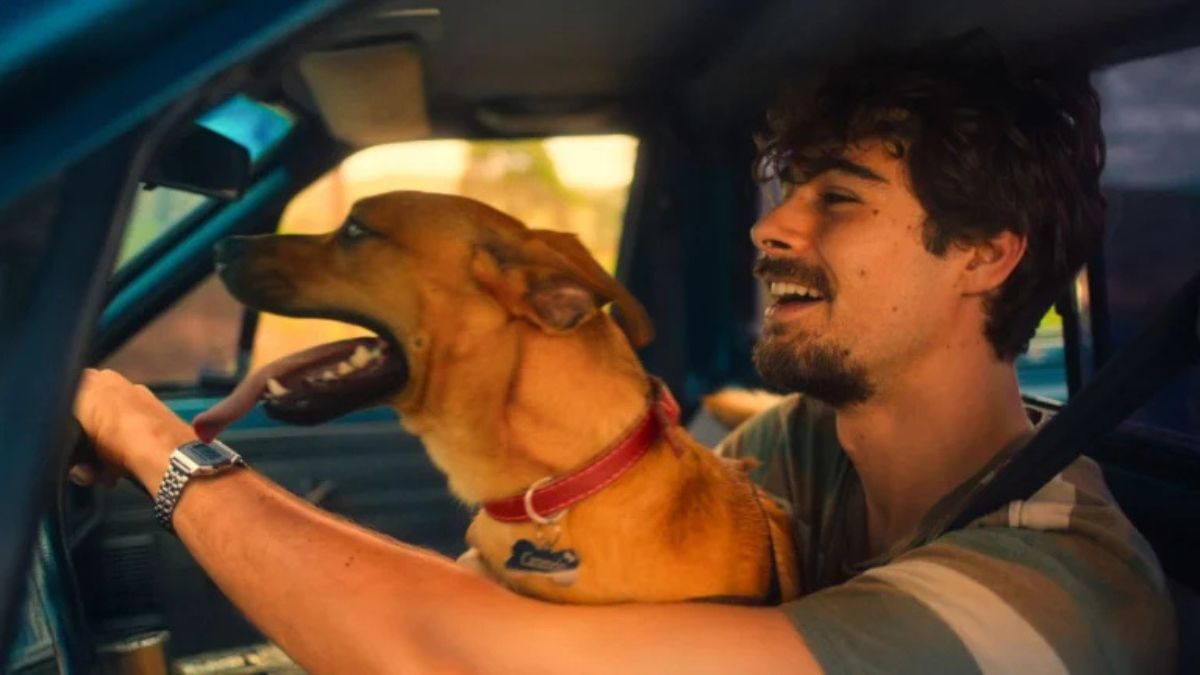 Caramelo: il film brasiliano è la sorpresa di Netflix: sul podio della Top 10 c'è un film dolcissimo che parla di amicizia.