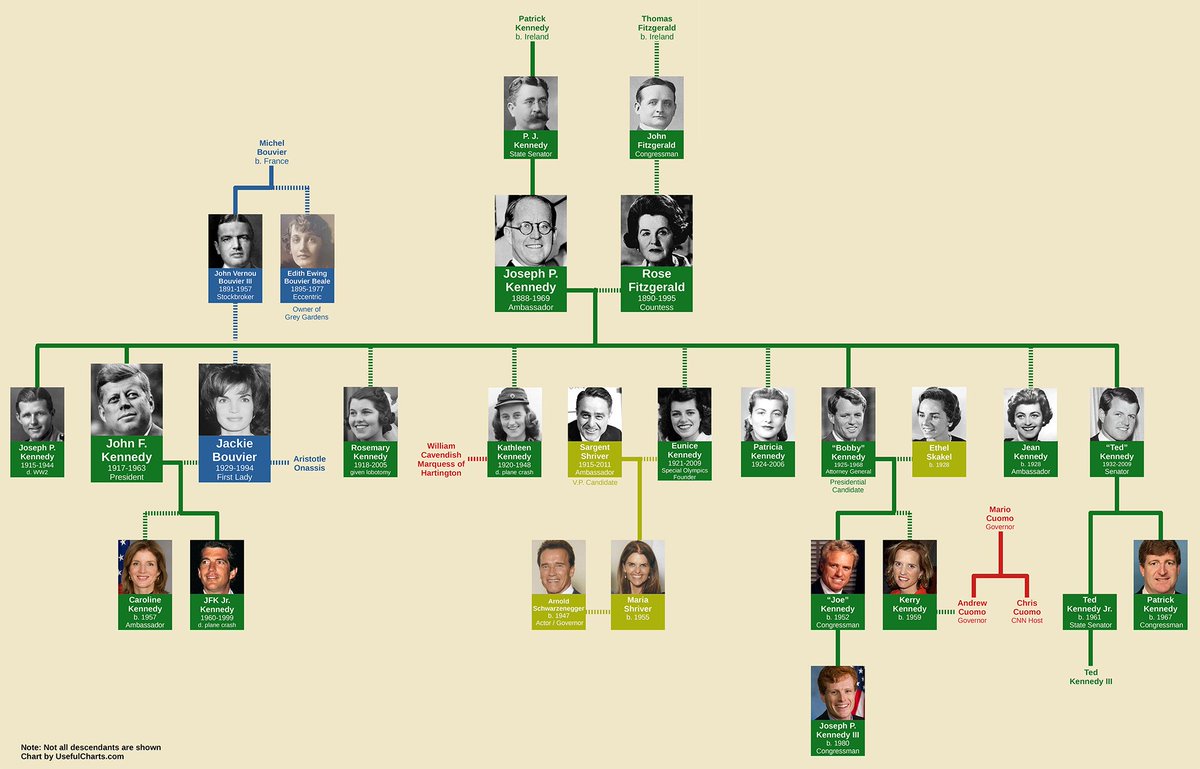Annunciata la serie Netflix sulla famiglia Kennedy: ecco cosa sappiamo sull'ennesimo progetto dedicato alla grande dinastia americana.