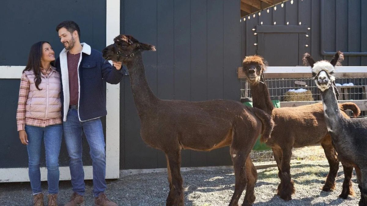 Netflix Top 10 film: scopri i film più visti su Netflix oggi e questa settimana. La classifica AGGIORNATA al 3 novembre 2025.