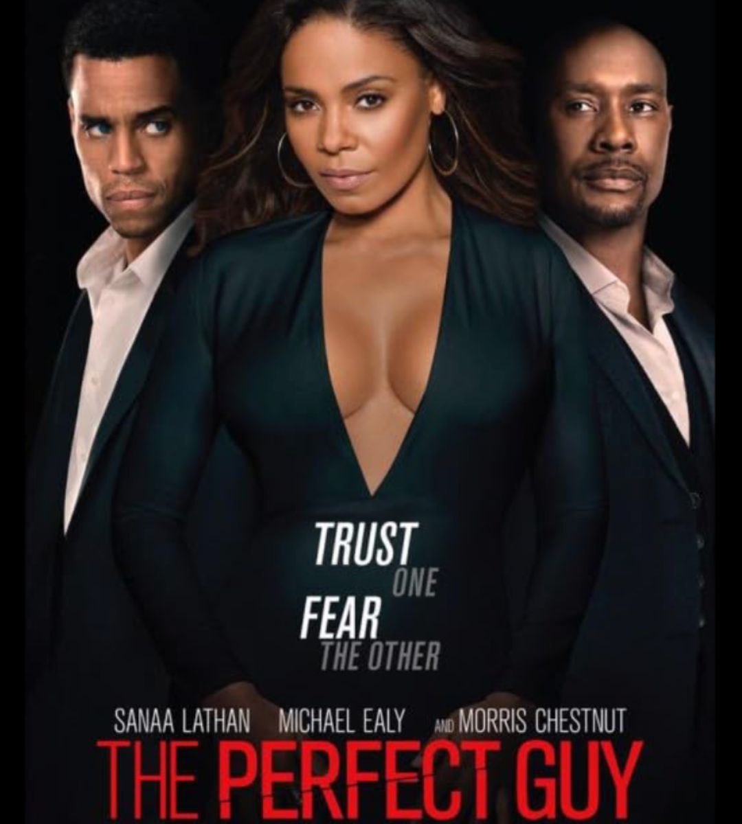 The Perfect Guy Netflix