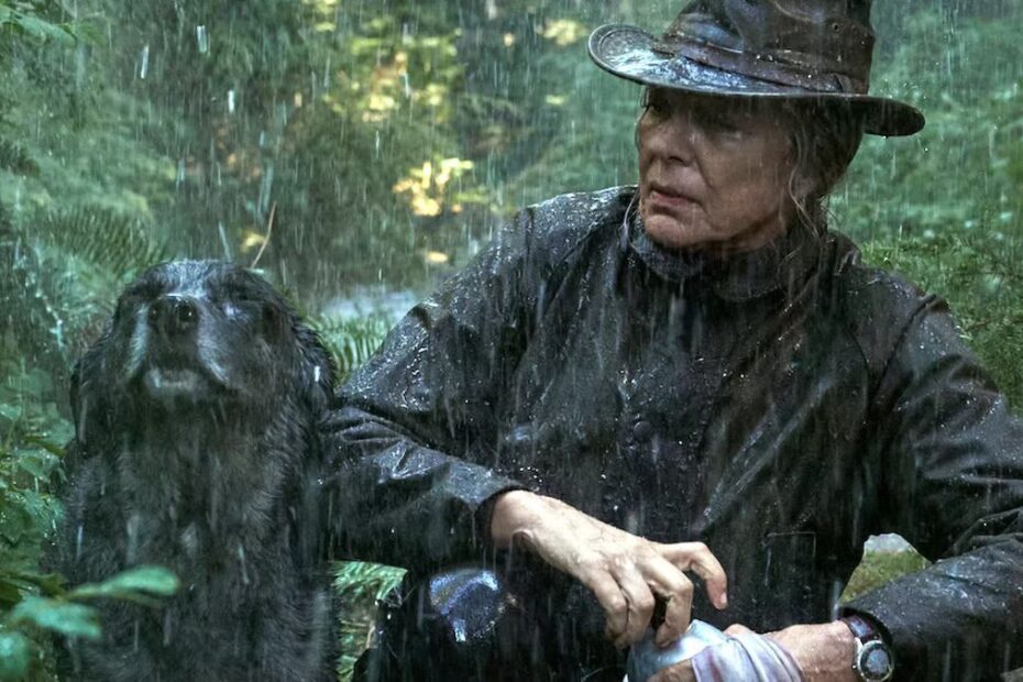 Lous film thriller Netflix