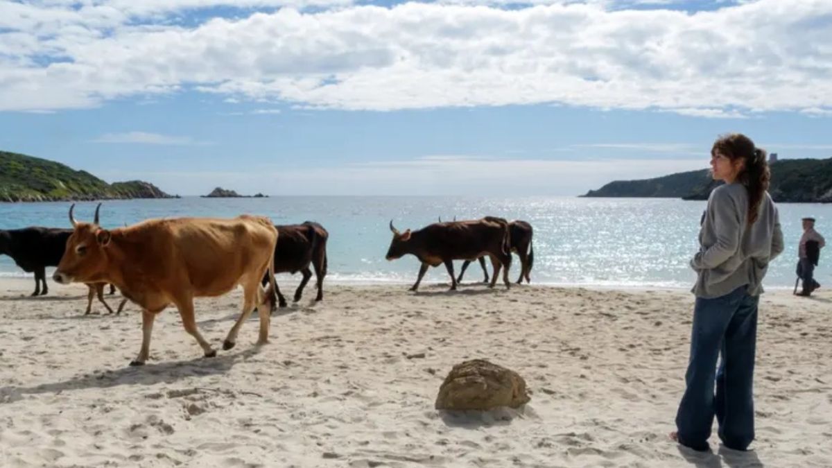 La vita va così: il film italiano è il più visto su Netflix. Dopo un solo giorno di programmazione, questa commedia ha conquistato tutti.