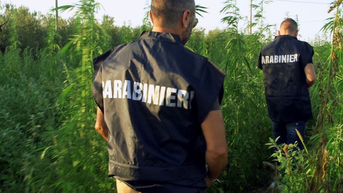 Avamposti: il migliore true crime italiano è su Netflix con tutte le sue tre stagioni al fianco dei Carabinieri.