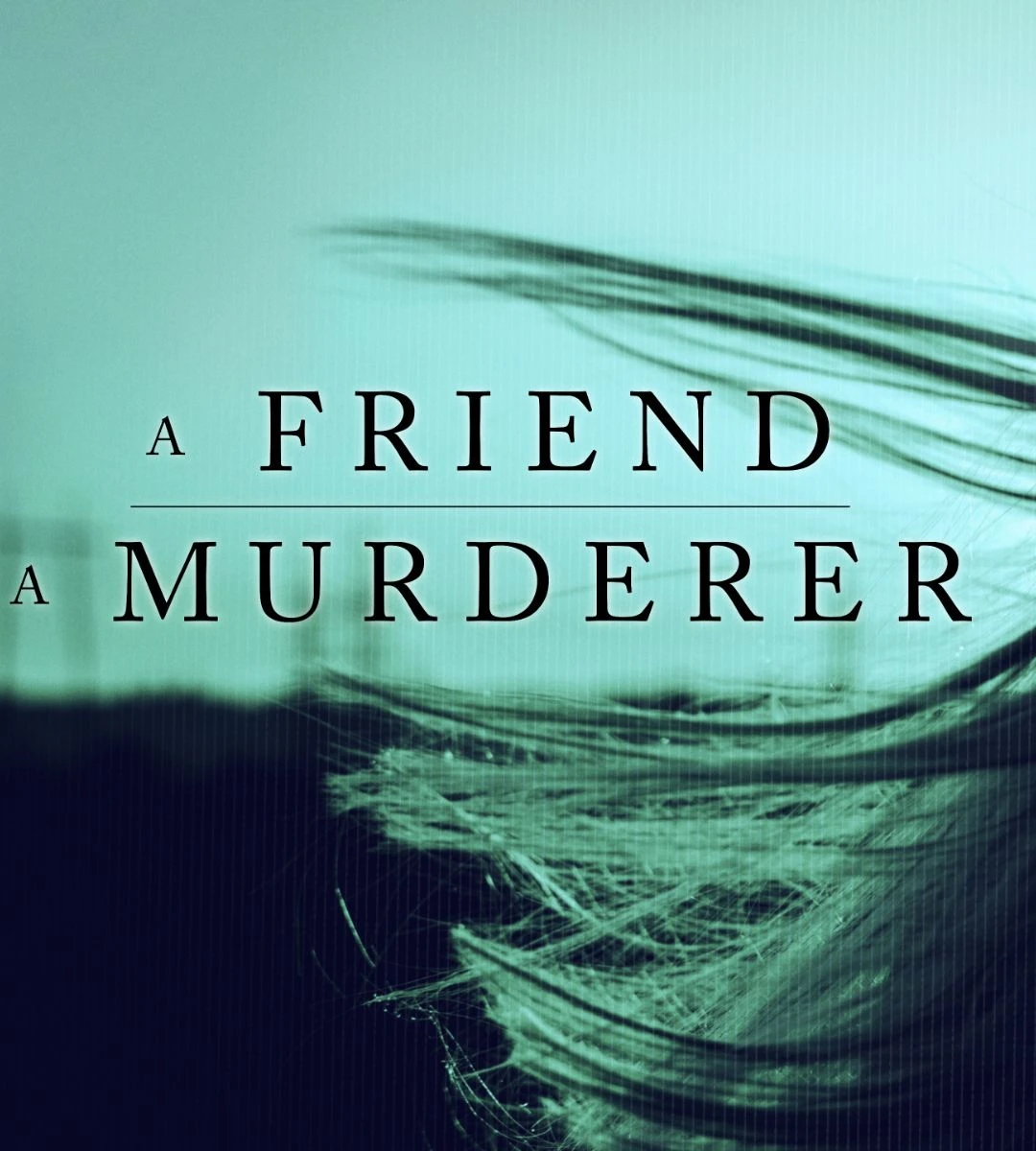 A Friend, A Murderer: il true crime danese è in arrivo su Netflix. Una storia che sconvolse il tranquillo Paese scandinavo.
