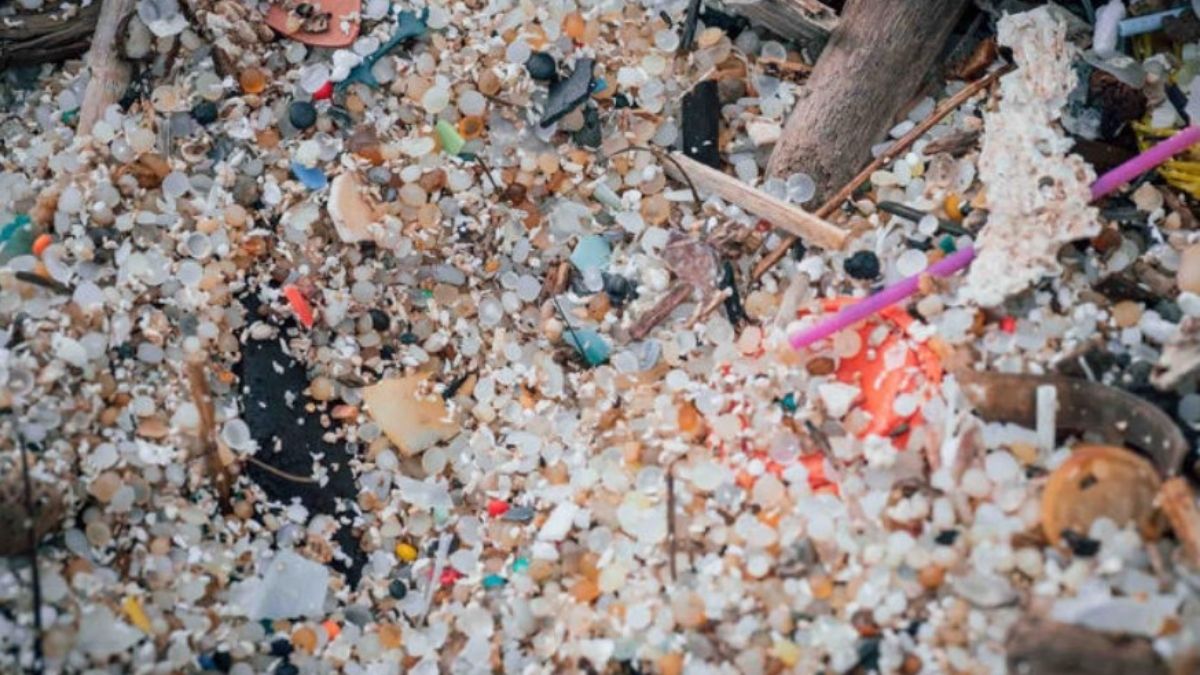 The Plastic Detox: microplastiche nel corpo umano, il documentario-choc di Netflix inquadra i rischi di una prolungata esposizione.