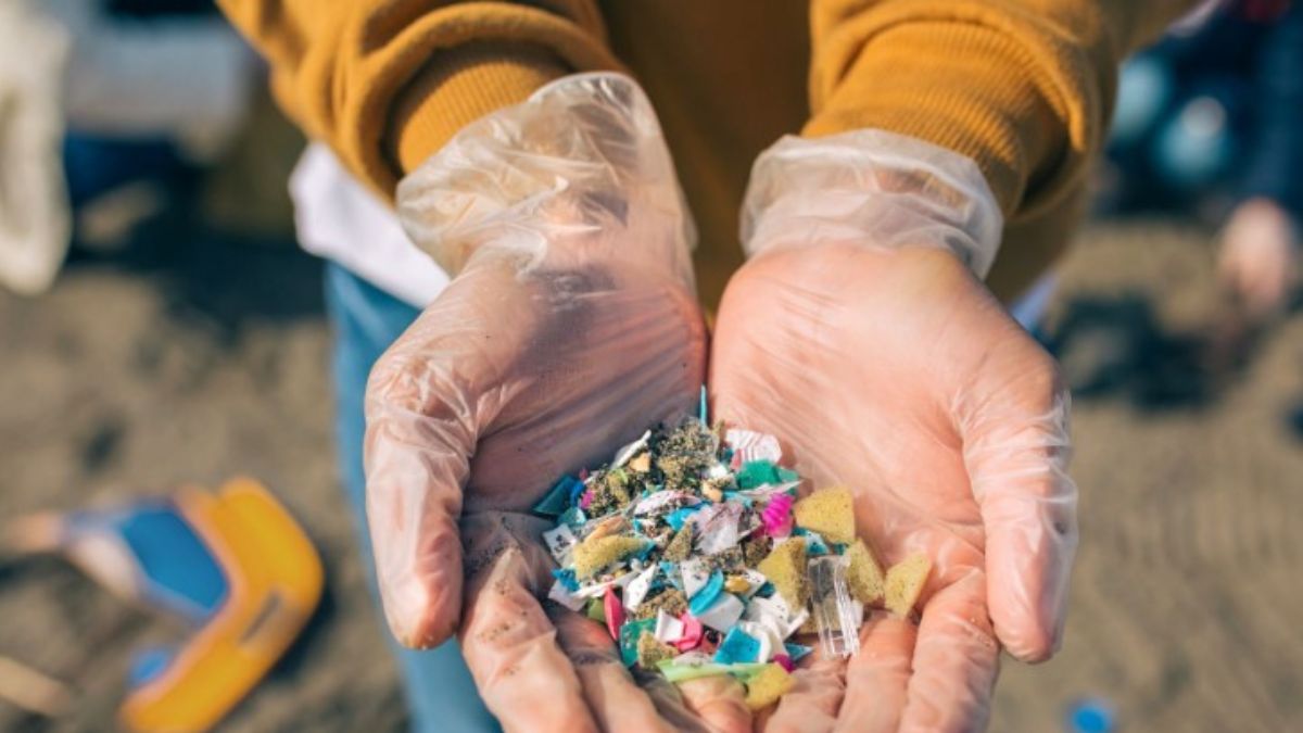The Plastic Detox: microplastiche nel corpo umano, il documentario-choc di Netflix inquadra i rischi di una prolungata esposizione.