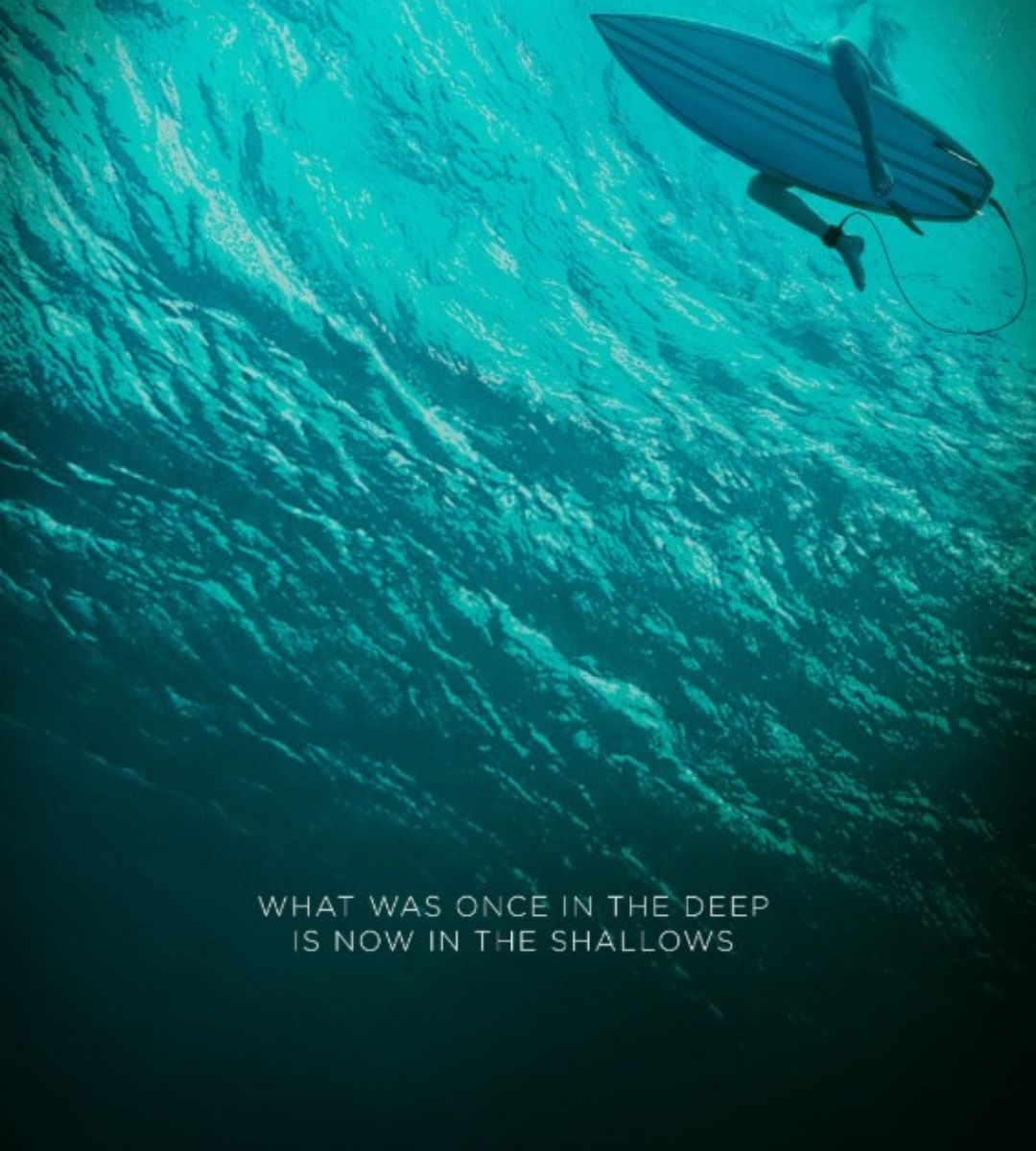 Paradise Beach - Dentro l'incubo (The Shallows) è un film del 2016 diretto da Jaume Collet-Serra, con protagonista Blake Lively.