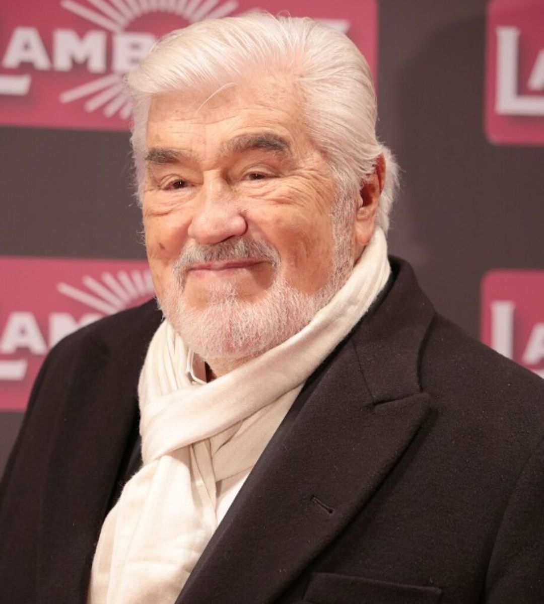 È morto Mario Adorf: l'attore italosvizzero aveva 95 anni e ha scritto la storia del cinema europeo, non solo italiano.