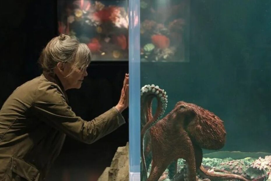Creature luminose segna il ritorno su Netflix di Sally Field, due volte premio oscar. Disponibile su Netflix a partire dall'8 maggio 2026.