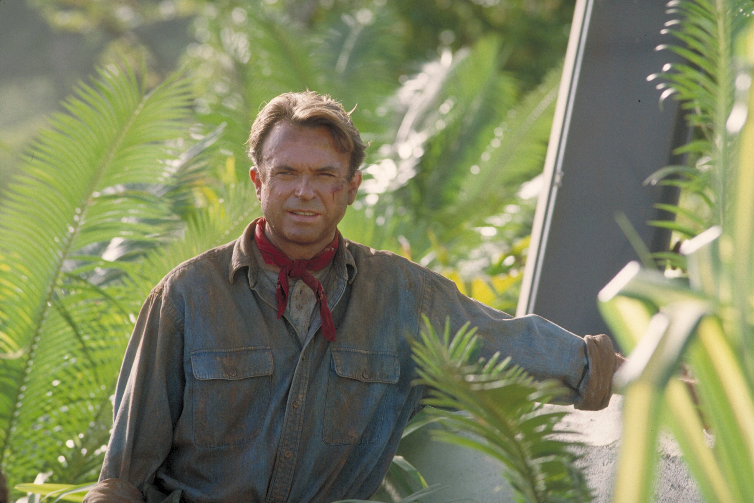 È morto Sam Neill: l'attore di Jurassic Park aveva 78 anni. Aveva superato un tumore, dunque la sua fine è davvero inattesa.